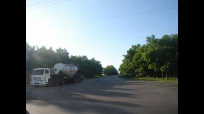 Expansión del patrimonio forestal de Cienfuegos