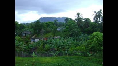 Una vista de El Yunque, Monumento Nacional