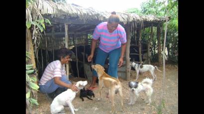 Meisis e Irania ayudan a la rehabilitación de perros