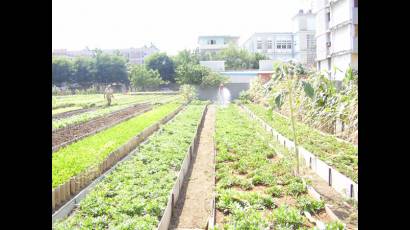 Agricultura urbana y suburbana