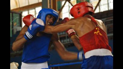 Boxeadores juveniles cubanos se preparan en Anapa