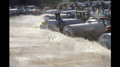 A bajos precios la leche en la Unión Europea