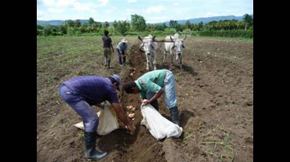 Campesinos del Valle de Caujerí