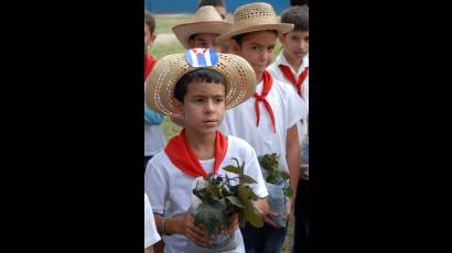 Los pioneros cubanos 