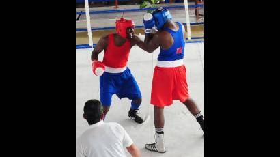 Camagüey se confirma como líder en el campeonato nacional de boxeo por equipos