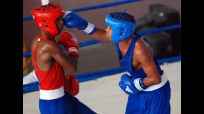 Camagüey derrotó a Santiago en Torneo Nacional de boxeo