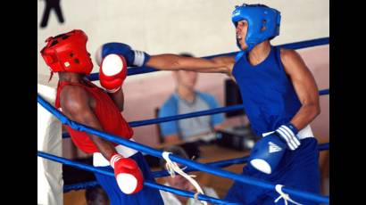 Cierra este martes temporada de boxeo cubano