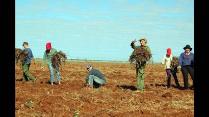 Jóvenes en el campo