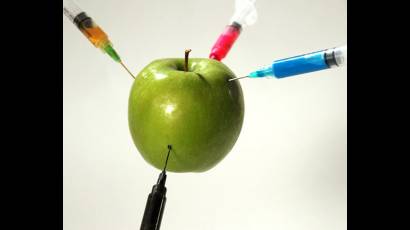 Promueven en Inglaterra producción de alimentos transgénicos