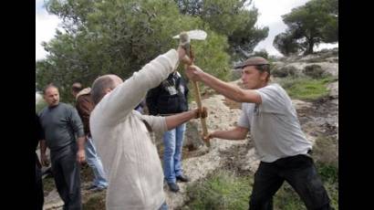 Pelea cerca de la ciudad palestina de Hebrón en Cisjordania