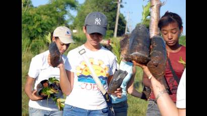 Convocan a jornada nacional de trabajo voluntario