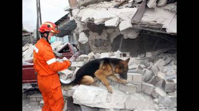 Equipos de rescate continúan en la búsqueda de sobrevivientes en Haití