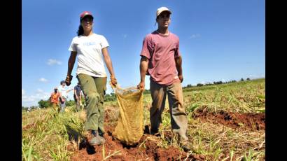 Producir debe ser la brújula de la Juventud Comunista