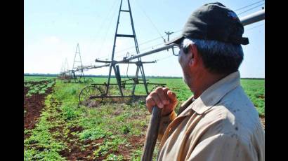 La fertilidad de los suelos para poner a parir al surco en beneficio colectivo