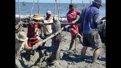 Investigadores y técnicos laboran en aldea aborigen avileña