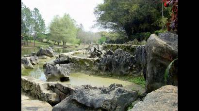 Jardín Botánico Nacional: verde catedral de la ciencia