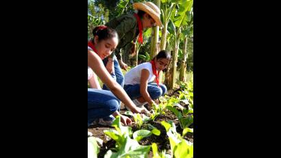 Estudiantes en labores agrícolas