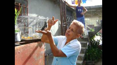 Sinfonía con plumas