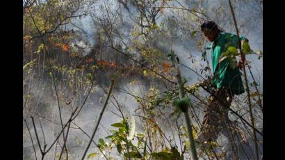Incendio forestal azota El Salvador