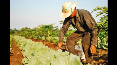 Agricultura suburbana