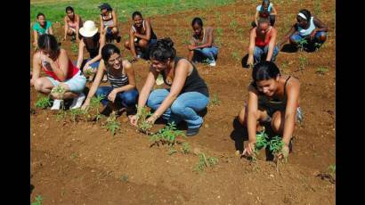 Actividad agrícola en Cienfuegos