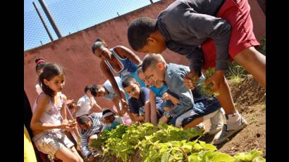 Los pioneros participan en las FAPI