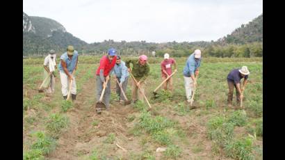 Jovenes trabajadores