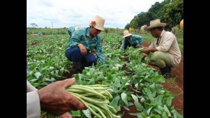 Brazos nuevos para la agricultura