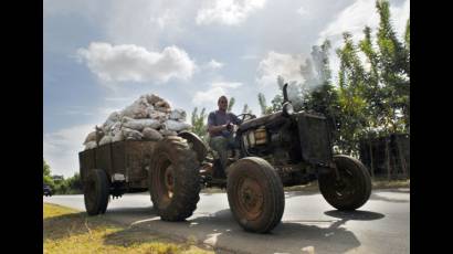 Jóvenes cubanos apuestan por la tierra