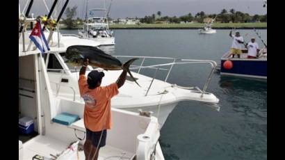 Torneo internacional de pesca de la aguja Ernest Hemingway