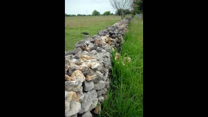Muro de piedra de Jagüey Grande 