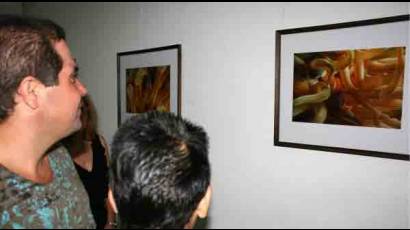 «Imágenes de la naturaleza»