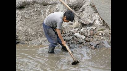Pocos avances en Día Mundial contra el trabajo infantil