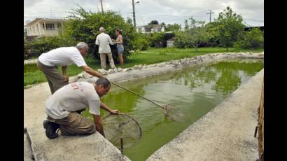 Criadero de peces