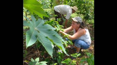Jóvenes en la agricultura