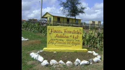 Fincas forestales Juliana 1 y 2, en Holguín