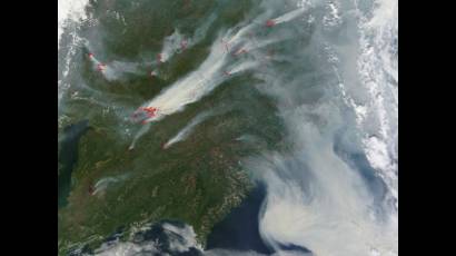 Incendios forestales al sudeste de Moscú