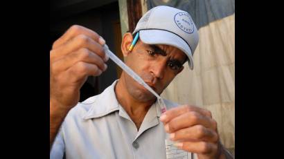 Campaña contra el mosquito
