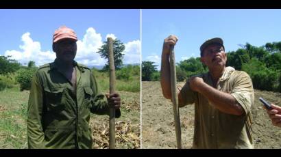 Eugenio Columbié Sánchez y Juan Enrique Masó Vera