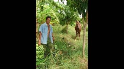 Joven campesino