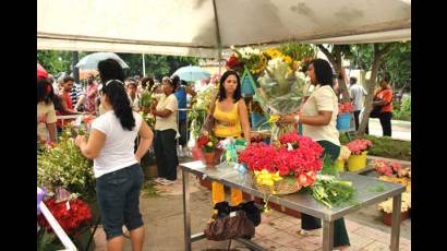 Impulsa Santiago programa de producción de flores