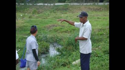 La lucha contra el mosquito