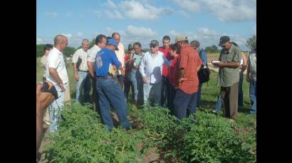 Machado Ventura recorre programas de la Agricultura en la Isla de la Juventud 