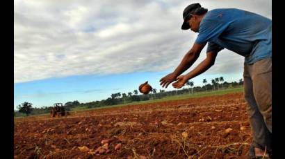 Reajuste de plantillas laborales en Cuba