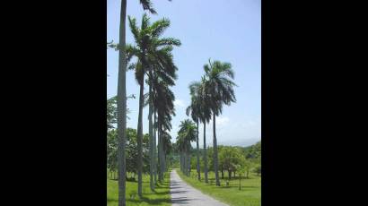 Jardín Botánico de Cienfuegos