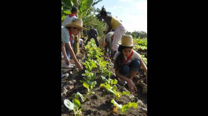 Niños en el campo