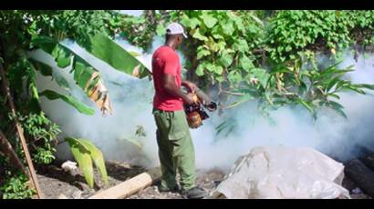 Batalla contra el mosquito Aedes aegypti