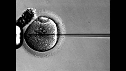 Fecundación in vitro