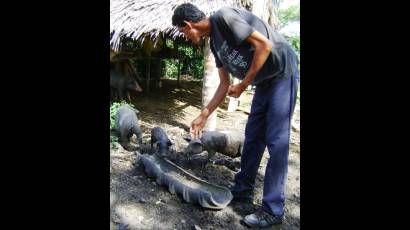 La historia de Reynier Fernández Ramírez