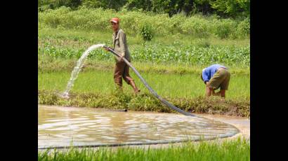 Campesinos cubanos 